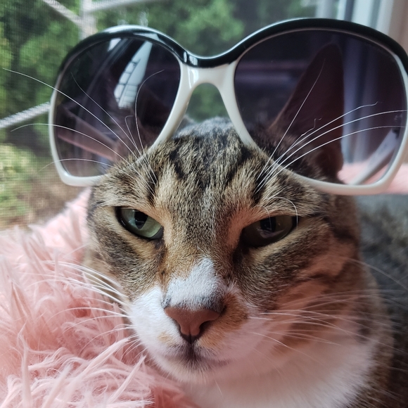 Rare Vintage Oversized Liz Claiborne Sunglasses - Picture 3 of 11